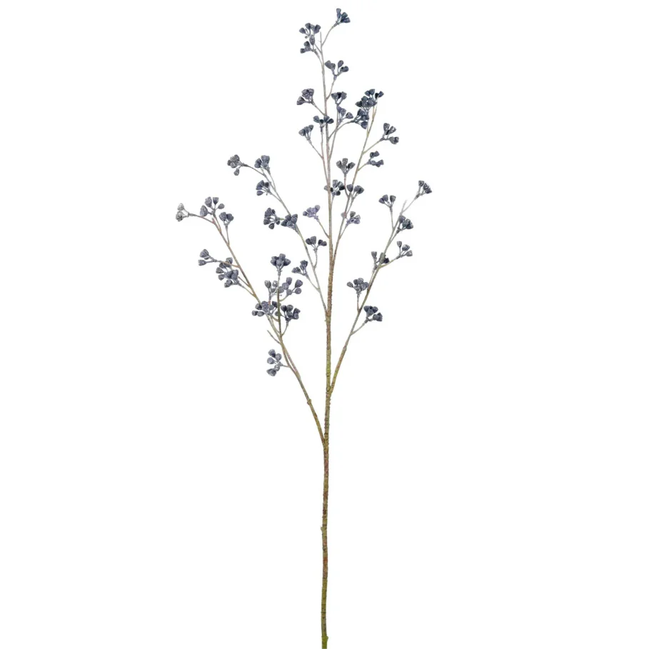 Blue Huckleberry Spray - Image 4