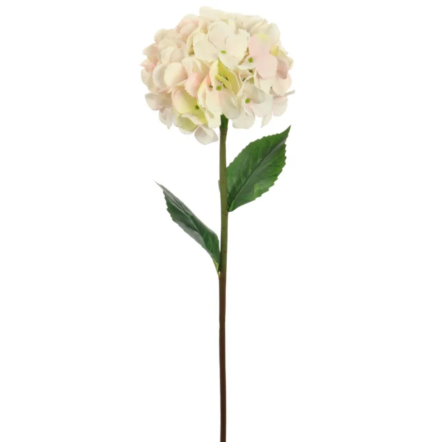 Blush Giant Hydrangea Stem - Image 3
