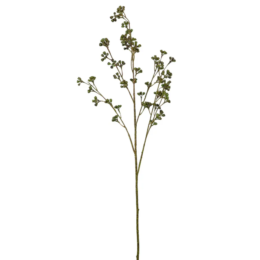 Green Huckleberry Spray - Image 3