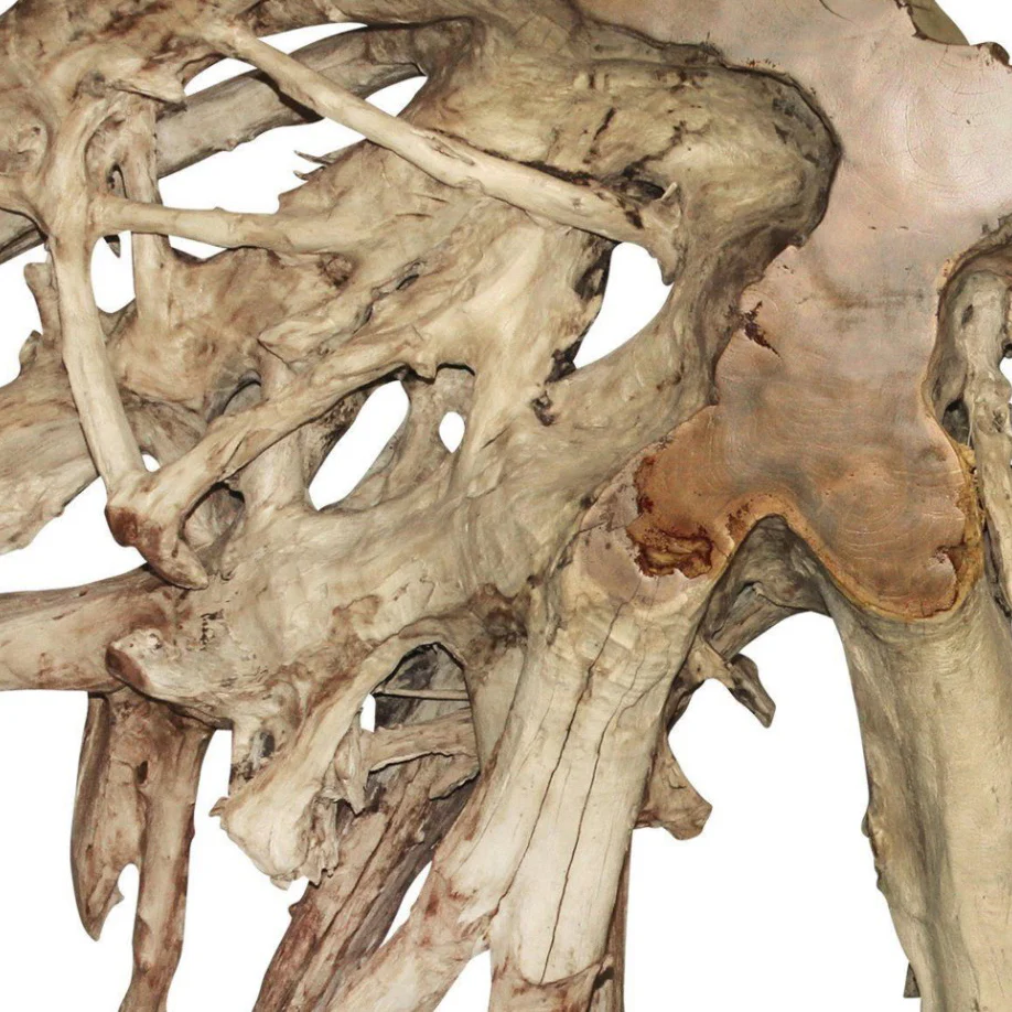 Teak Root Extra Large Console Table | Without Glass - Image 2