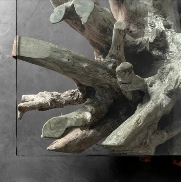 Teak Root Rectangular Coffee Table - Image 4