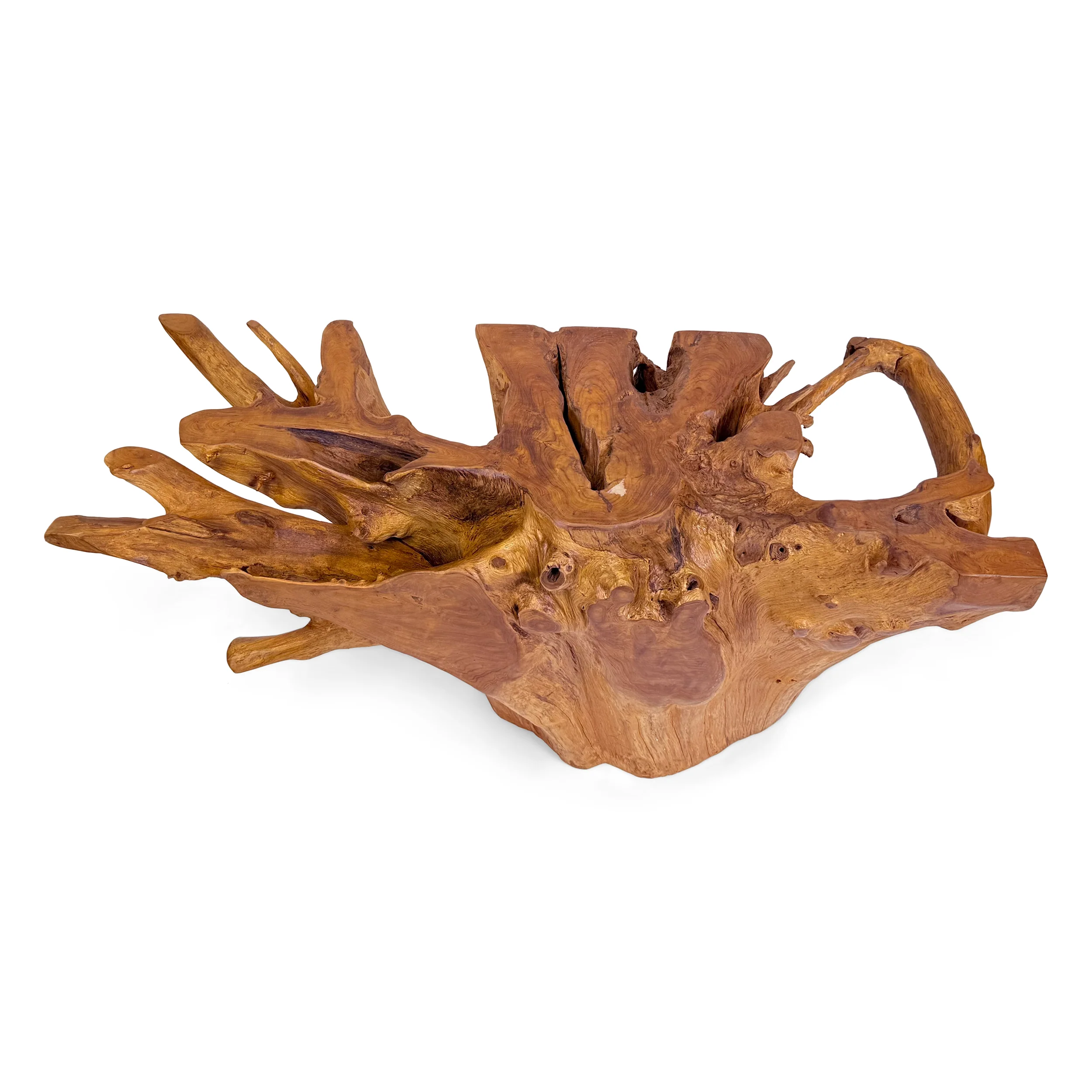 Teak Root Rectangular Dining Table - Image 9