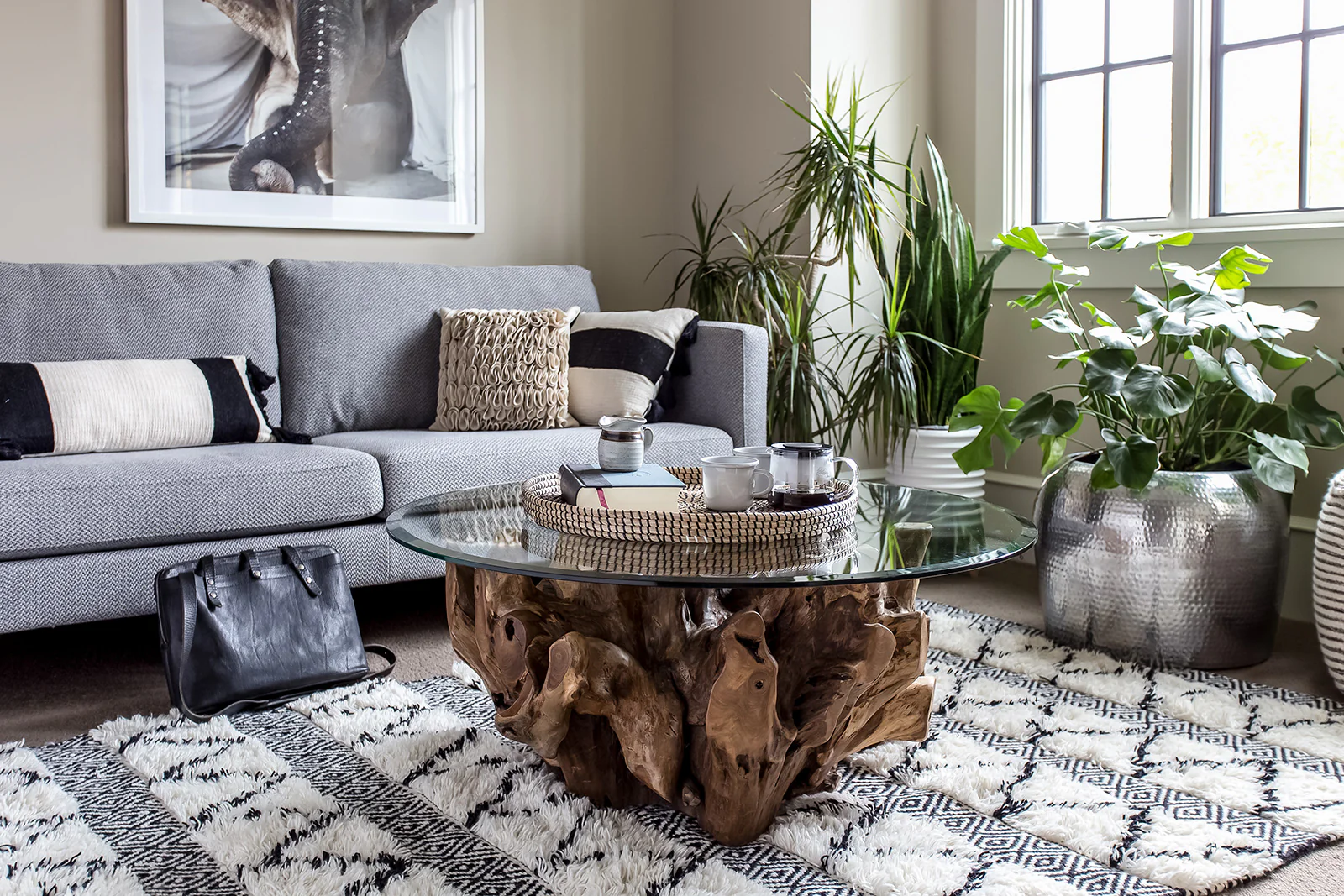 Teak Root Round Coffee Table - Image 10